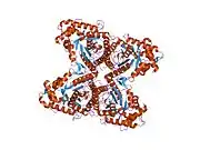 1ewe: Fructose 1,6-Bisphosphate Aldolase from Rabbit Muscle