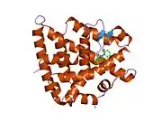 1mvc: Crystal structure of the human RXR alpha ligand binding domain bound to the synthetic agonist compound BMS 649 and a coactivator peptide