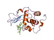 1re2: HUMAN LYSOZYME LABELLED WITH TWO 2',3'-EPOXYPROPYL BETA-GLYCOSIDE OF N-ACETYLLACTOSAMINE