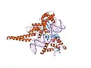 1sc7: Human DNA Topoisomerase I (70 Kda) In Complex With The Indenoisoquinoline MJ-II-38 and Covalent Complex With A 22 Base Pair DNA Duplex