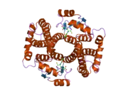 1tdi: Crystal Structure of hGSTA3-3 in Complex with Glutathione