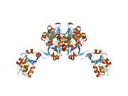 1u9m: Crystal structure of F58W mutant of cytochrome b5