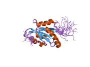 1x67: Solution structure of the cofilin homology domain of HIP-55 (drebrin-like protein)