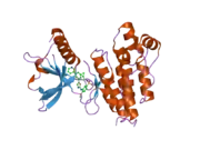 1y6b: Crystal structure of VEGFR2 in complex with a 2-anilino-5-aryl-oxazole inhibitor