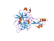 1yc0: short form HGFA with first Kunitz domain from HAI-1