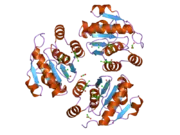 1zck: native structure prl-1 (ptp4a1)