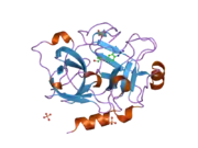 1zmn: Crystal Structure of the Catalytic Domain of Coagulation Factor XI in Complex with (R)-1-(4-(4-(hydroxymethyl)-1,3,2-dioxaborolan-2-yl)phenyl)guanidine