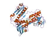 2aaq: Crystal Structure Analysis of the human Glutahione Reductase, complexed with GoPI