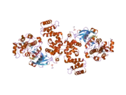 2acx: Crystal Structure of G protein coupled receptor kinase 6 bound to AMPPNP