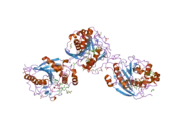 2ae7: Crystal Structure of Human M340H-Beta1,4-Galactosyltransferase-I (M340H-B4GAL-T1) in Complex with Pentasaccharide