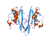 2aug: Crystal structure of the Grb14 SH2 domain