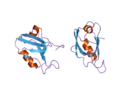 2awu: Synapse associated protein 97 PDZ2 domain variant C378G