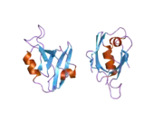 2aww: Synapse associated protein 97 PDZ2 domain variant C378G with C-terminal GluR-A peptide