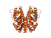 2b1v: Human estrogen receptor alpha ligand-binding domain in complex with OBCP-1M and a glucocorticoid receptor interacting protein 1 NR box II peptide