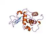 2bqe: CONTRIBUTION OF HYDROPHOBIC EFFECT TO THE CONFORMATIONAL STABILITY OF HUMAN LYSOZYME