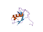 2bqq: X-ray structure of the N-terminal domain of human doublecortin