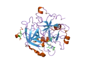 2bxt: DESIGN AND DISCOVERY OF NOVEL, POTENT THROMBIN INHIBITORS WITH A SOLUBILIZING CATIONIC P1-P2-LINKER