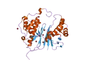 2byd: STRUCTURE OF AMINOADIPATE-SEMIALDEHYDE DEHYDROGENASE-PHOSPHOPANTETHEINYL TRANSFERASE