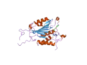 2c2m: CRYSTAL STRUCTURES OF CASPASE-3 IN COMPLEX WITH AZA-PEPTIDE MICHAEL ACCEPTOR INHIBITORS.