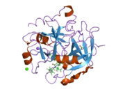 2cf8: COMPLEX OF RECOMBINANT HUMAN THROMBIN WITH A INHIBITOR