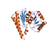 2czi: Crystal structure of human myo-inositol monophosphatase 2 (IMPA2) with calcium and phosphate ions