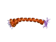 2d2p: The solution structure of micelle-bound peptide