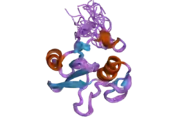 2dcr: Fully automated solution structure determination of the Fes SH2 domain