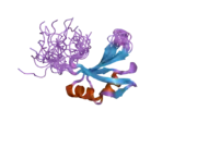 2dgw: Solution structure of the second RNA recognition motif in RNA-binding protein 19