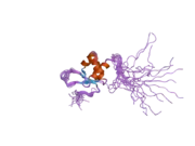 2dk5: Solution structure of Winged-Helix domain in RNA polymerase III 39KDa polypeptide