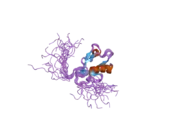 2dlu: Solution structure of the second PDZ domain of human InaD-like protein