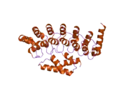 2dvw: Structure of the Oncoprotein Gankyrin in Complex with S6 ATPase of the 26S Proteasome