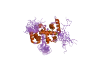 2e30: Solution structure of the cytoplasmic region of Na+/H+ exchanger 1 complexed with essential cofactor calcineurin B homologous protein 1