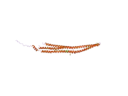 2efl: Crystal structure of the EFC domain of formin-binding protein 17