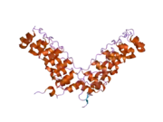 2f8y: Crystal structure of human Notch1 ankyrin repeats to 1.55A resolution.