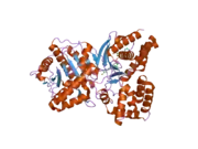 2fy4: Structures of ligand bound human choline acetyltransferase provide insight into regulation of acetylcholine synthesis