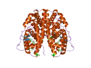 2g44: Human Estrogen Receptor Alpha Ligand-Binding Domain In Complex With OBCP-1M-G and A Glucocorticoid Receptor Interacting Protein 1 NR Box II Peptide