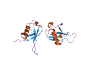 2gbj: Crystal Structure of the 9-10 8 Glycine Insertion Mutant of Ubiquitin.