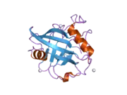 2gw2: Crystal structure of the peptidyl-prolyl isomerase domain of human cyclophilin G