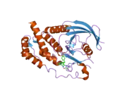 2h04: Structural studies of protein tyrosine phosphatase beta catalytic domain in complex with inhibitors