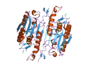 2h5j: Crystal structure of caspase-3 with inhibitor Ac-DMQD-Cho