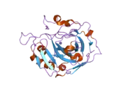 2hfy: Structural and kinetic analysis of proton shuttle residues in the active site of human carbonic anhydrase III