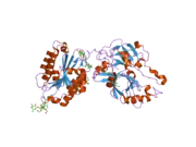 2i6s: Complement component C2a