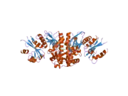 2i7n: Crystal structure of human PANK1 alpha: the catalytic core domain in complex with AcCoA