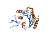 2ipx: Human Fibrillarin