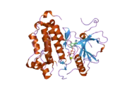 2itn: CRYSTAL STRUCTURE OF EGFR KINASE DOMAIN G719S MUTATION IN COMPLEX WITH AMP-PNP