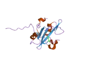 2iuh: CRYSTAL STRUCTURE OF THE PI3-KINASE P85 N-TERMINAL SH2 DOMAIN IN COMPLEX WITH C-KIT PHOSPHOTYROSYL PEPTIDE