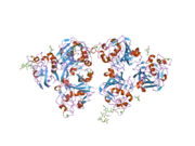 2j0g: L-FICOLIN COMPLEXED TO N-ACETYL-MANNOSAMINE