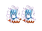 2j1z: HUMAN P53 CORE DOMAIN MUTANT M133L-V203A-N239Y-N268D-F270L