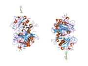 2j3g: L-FICOLIN