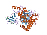 2nsm: Crystal structure of the human carboxypeptidase N (Kininase I) catalytic domain